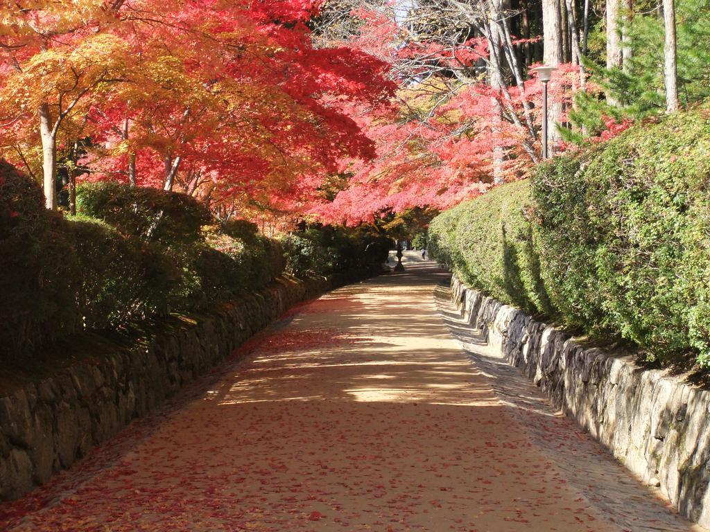 Koyasan Shukubo Jokiin Hotel Eksteriør billede